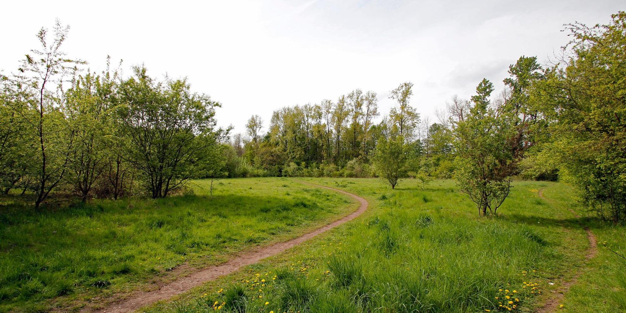 Baugebiet_Ammerstrasse