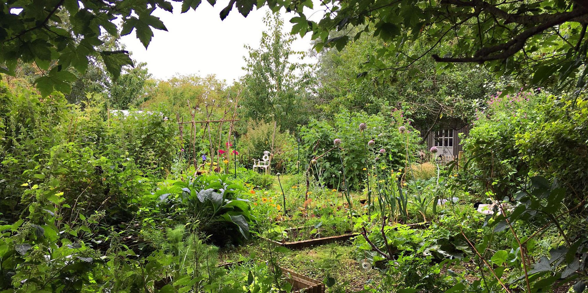Permakultur Garten