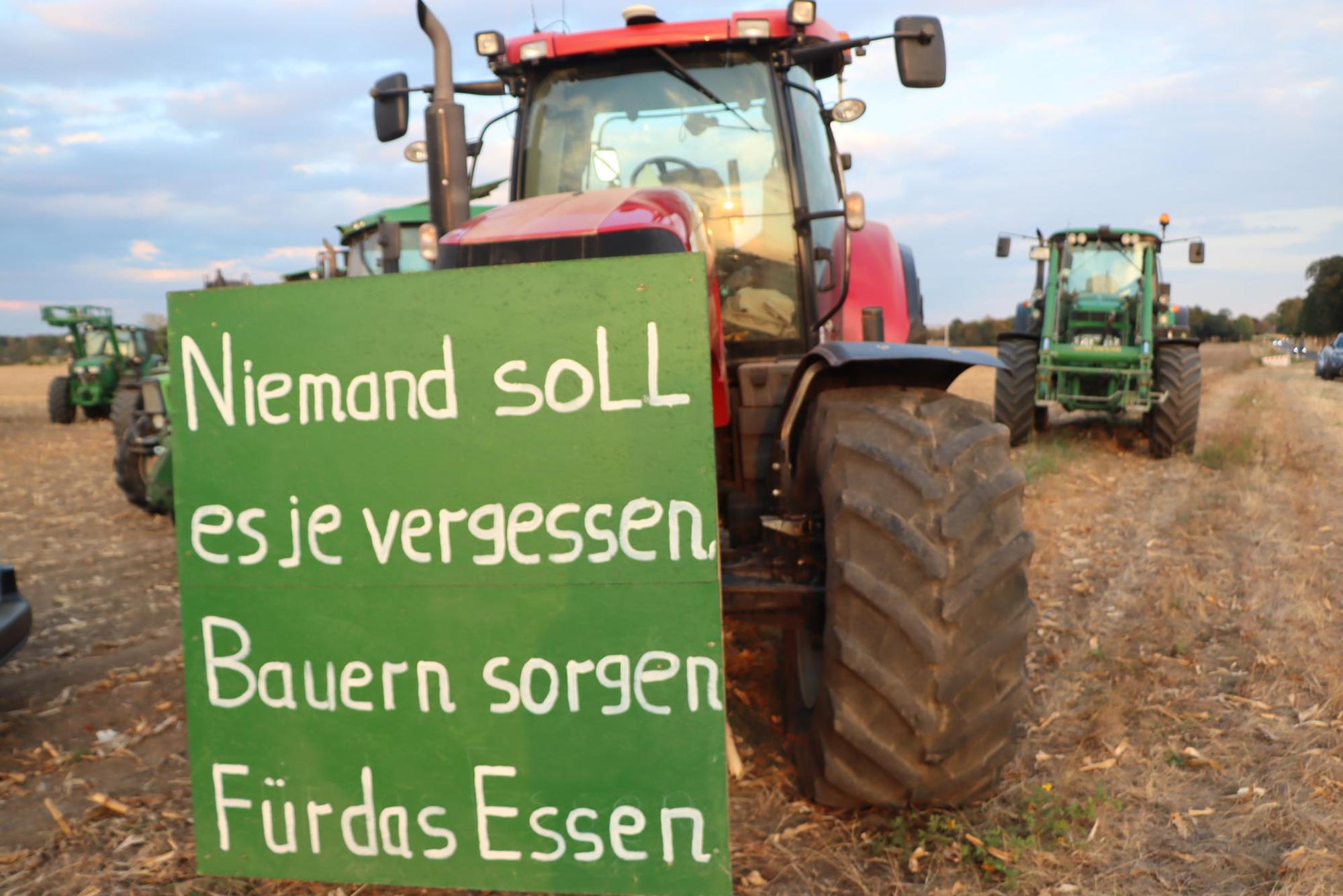 Neuer Inhalt (2)