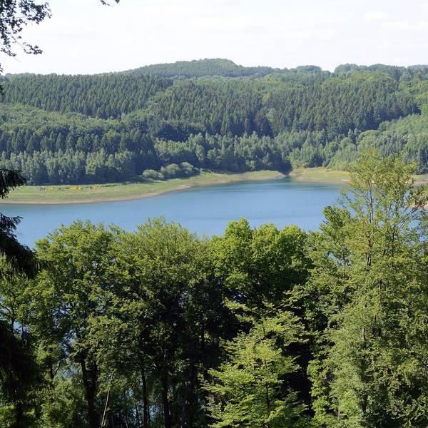 40-Rhein-Berg_Luhr_140
