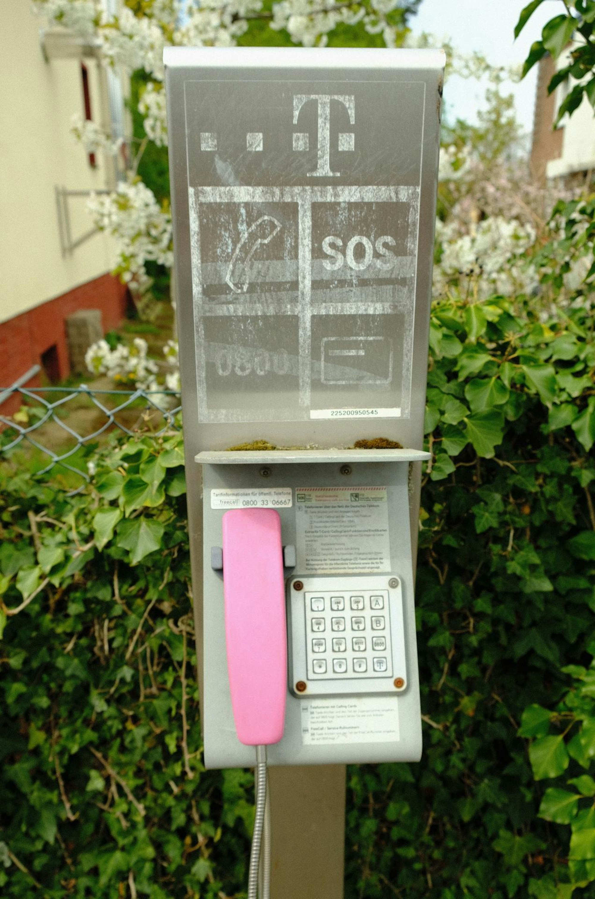 Neuer Inhalt (2)