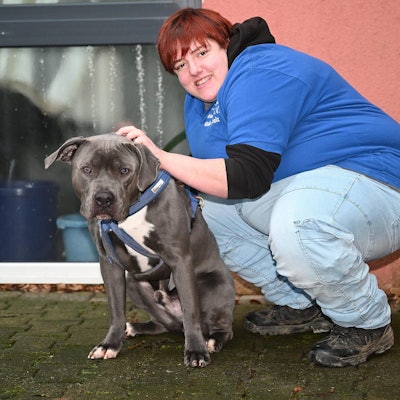 Tierheim Kürten Weihnachten 231221