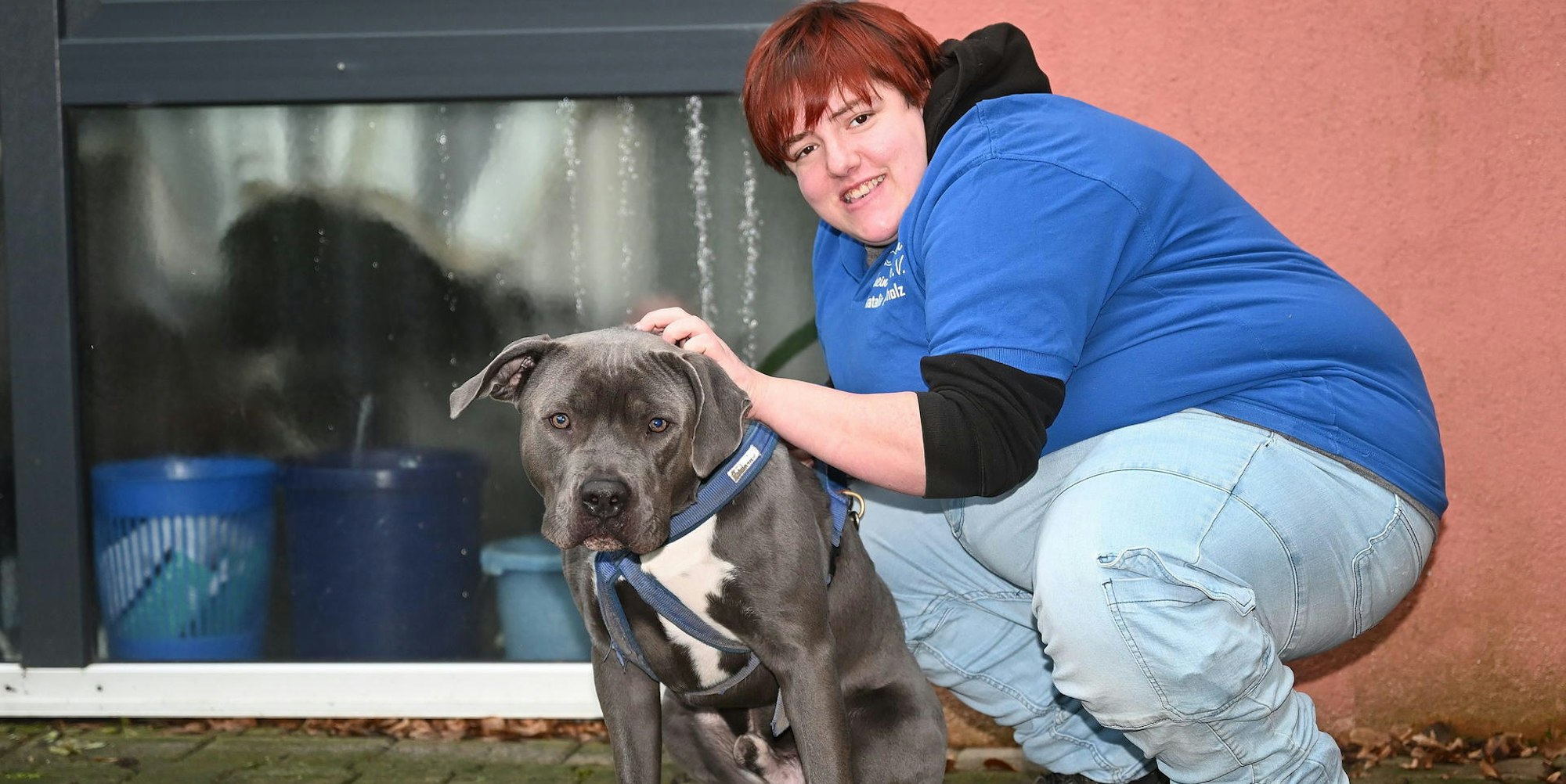 Tierheim Kürten Weihnachten 231221