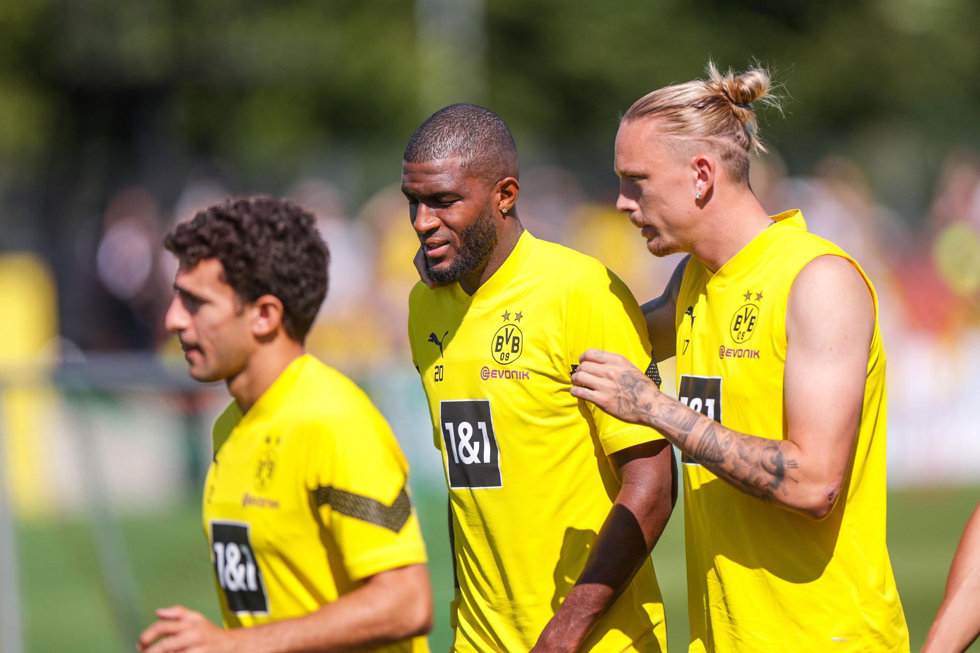Modeste und Wolf