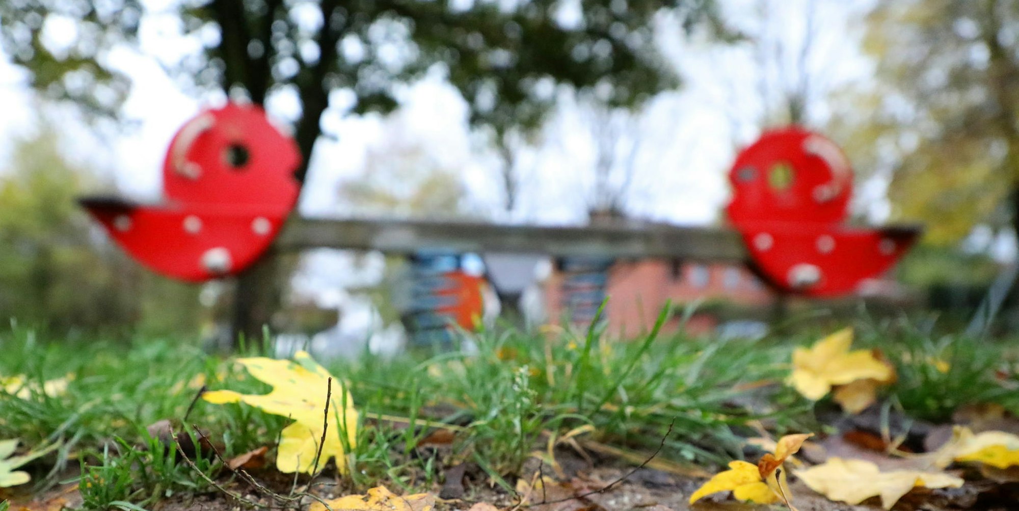 Bergisch Gladbach Missbrauch Spielplatz