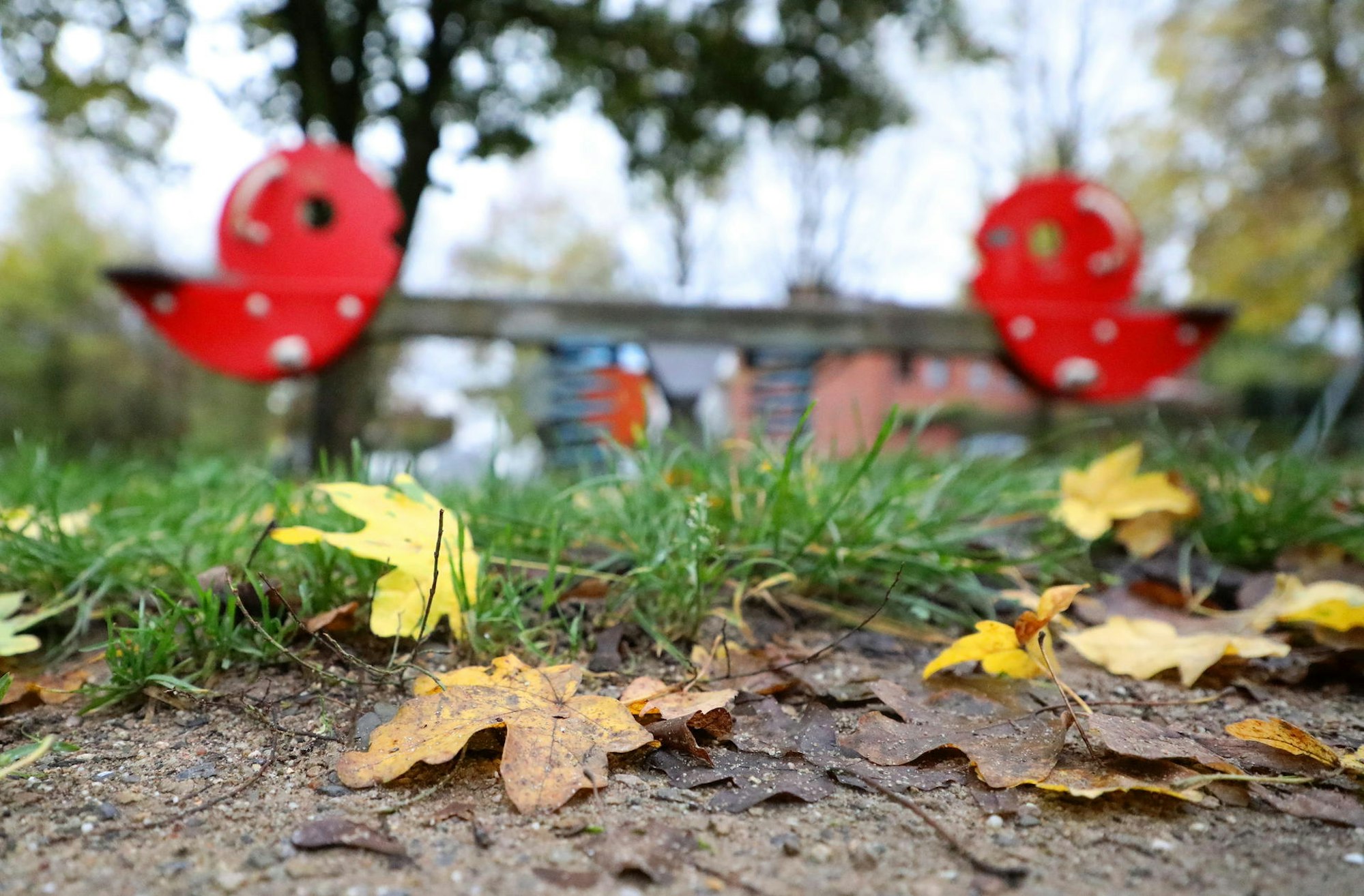 Bergisch Gladbach Missbrauch Spielplatz