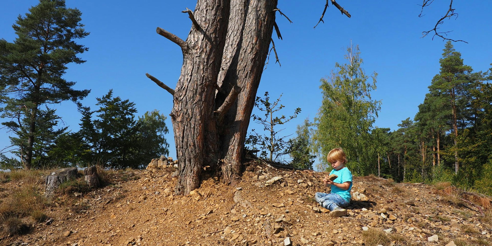 SVL24245GeoExk_Eifel3_Wanderung10