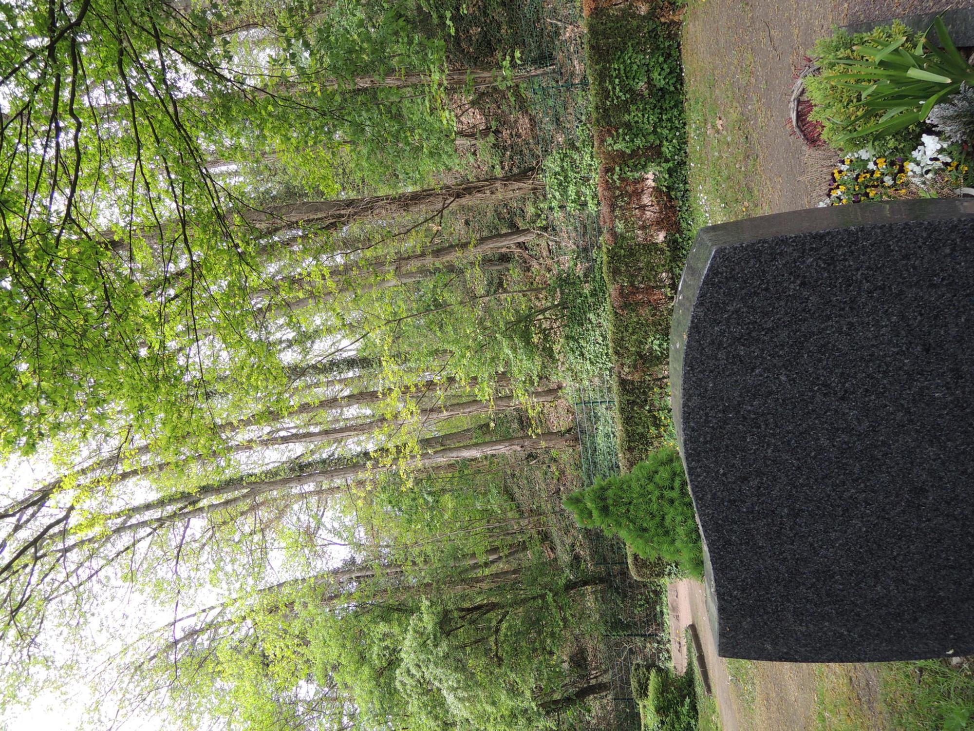 Brüggen Friedhof 2
