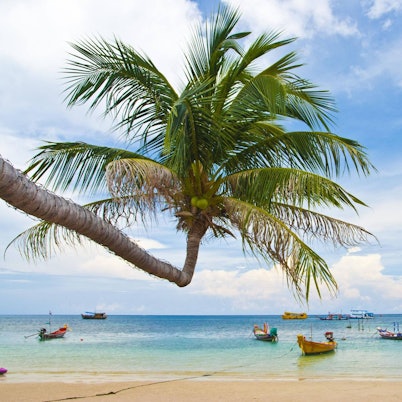 sairee-strand-koh-tao