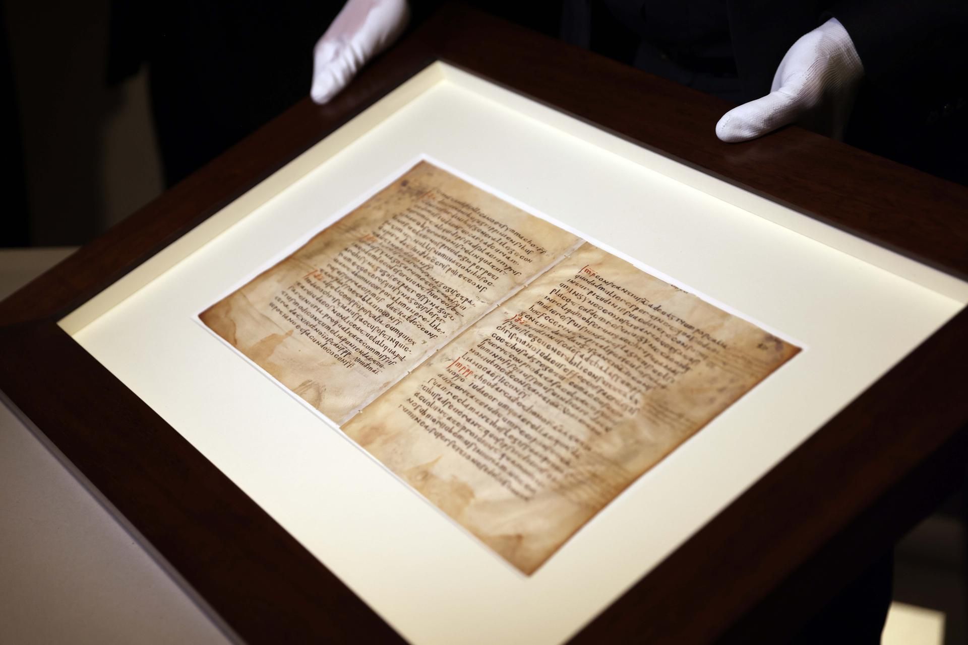 Codex Nahaufnahme