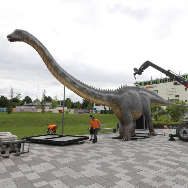 Dinoschau_Huma2