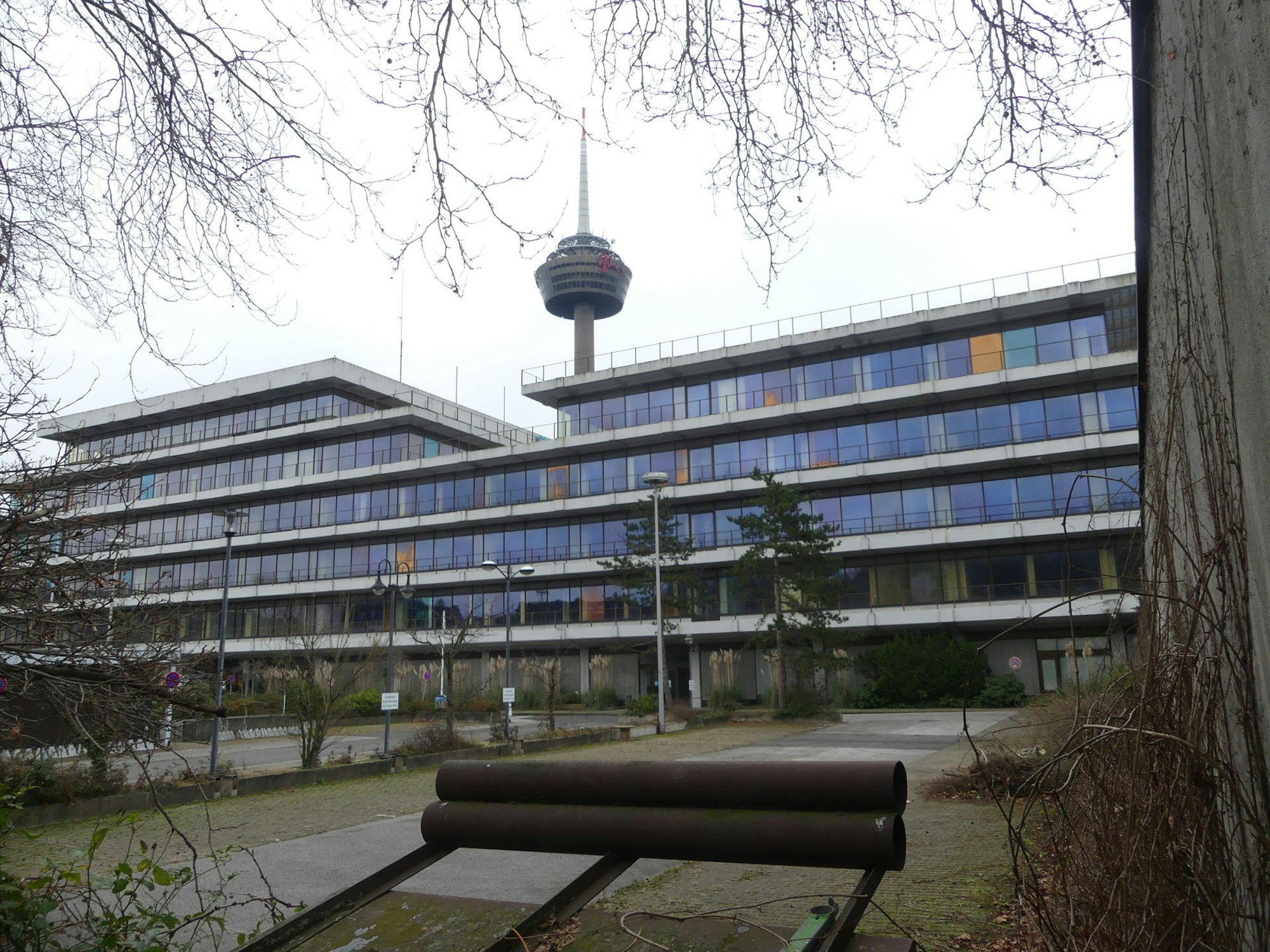 roes-bauen-ehrenfeld-001