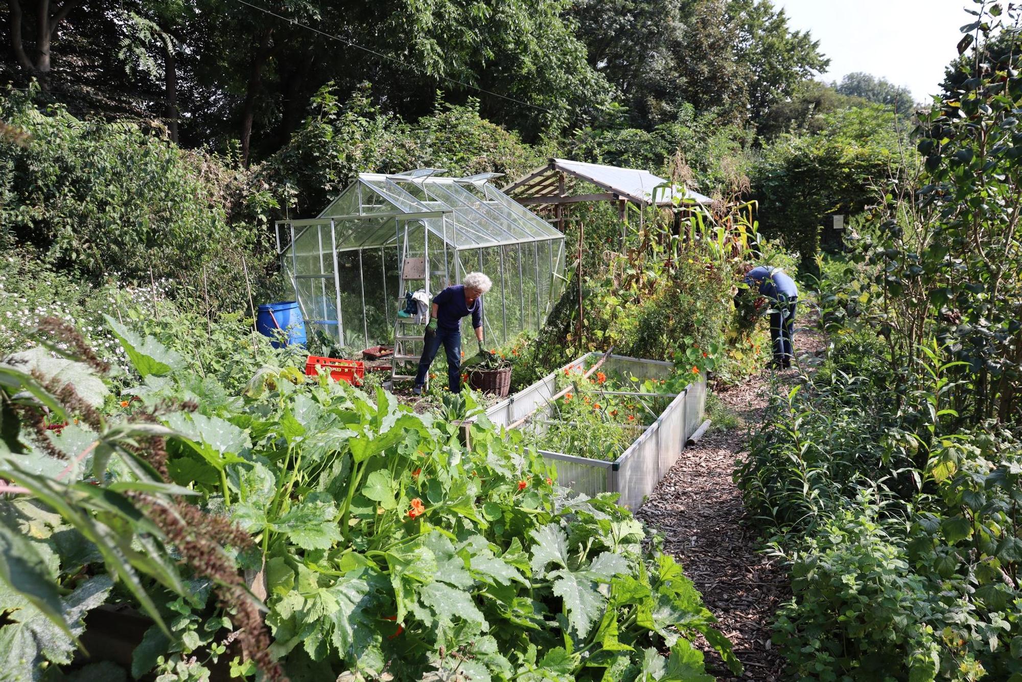 aef-biogarten-5