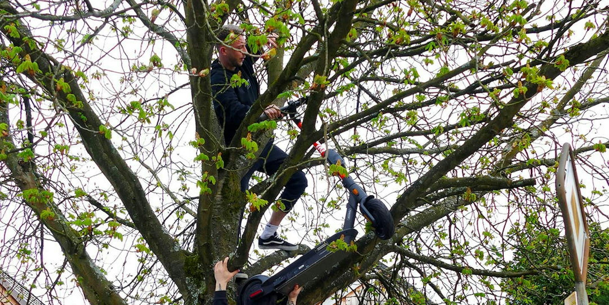 E-Roller_Lohmar_Baum