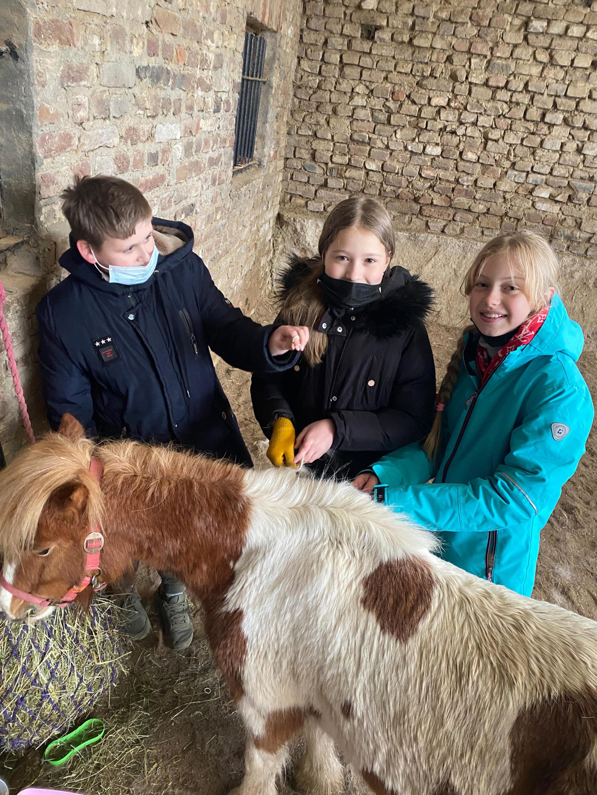 Bergheim Therakids Reitstunden Geflüchtete