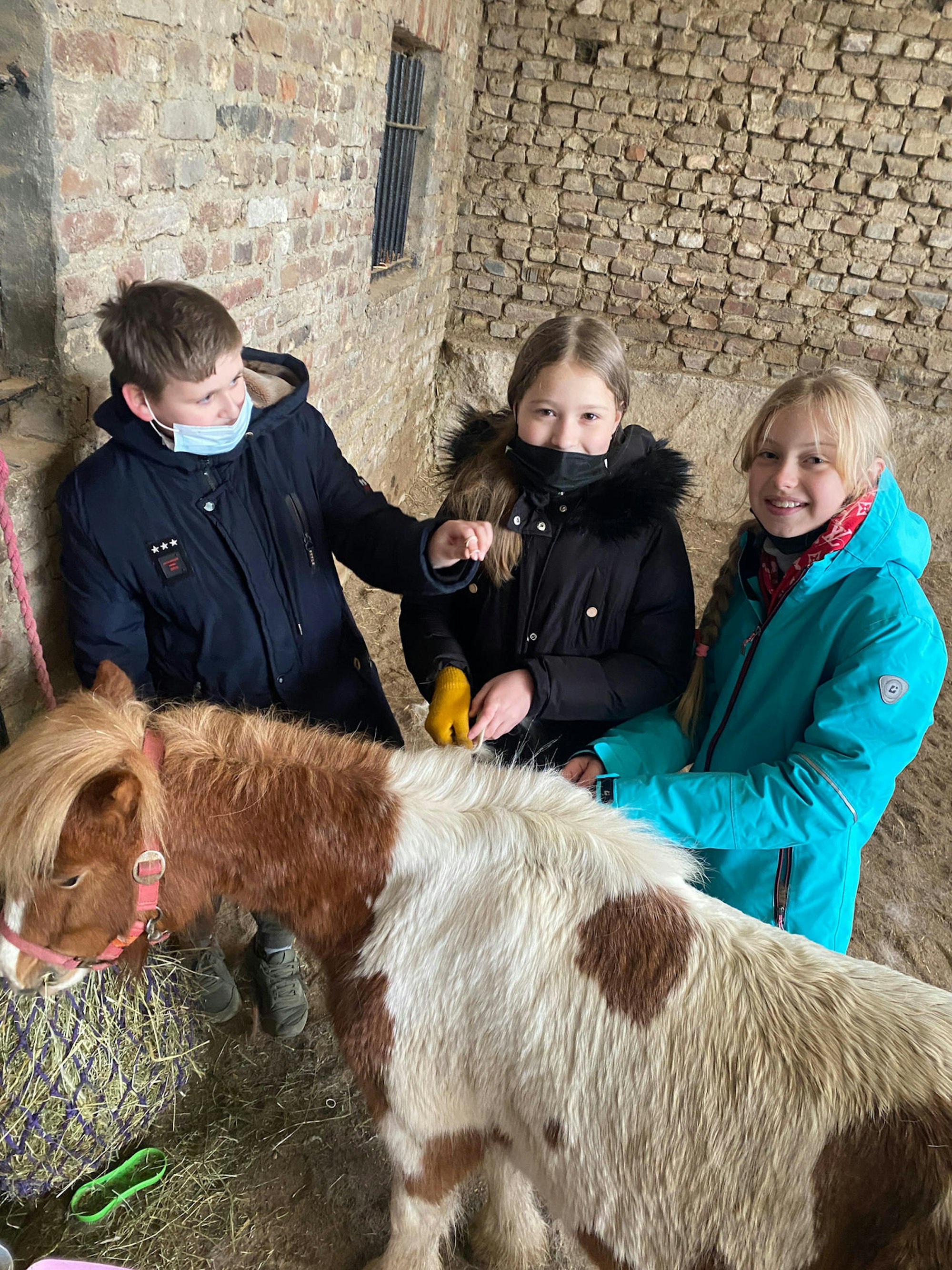 Bergheim Therakids Reitstunden Geflüchtete