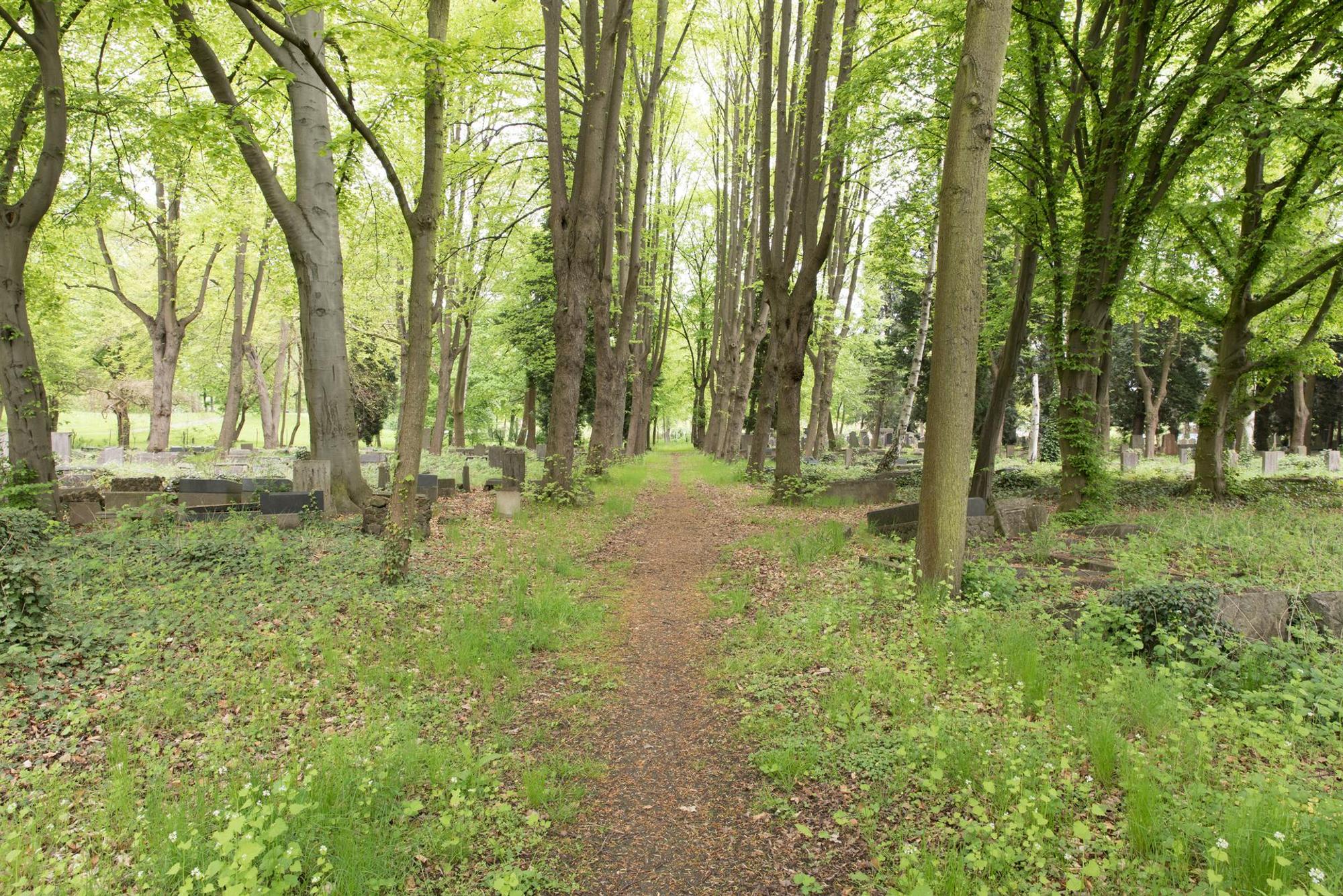 Offenbach Jüdischer_Friedhof_Köln-Deutz_-9562_Wiki4.0_ElkeWetzig