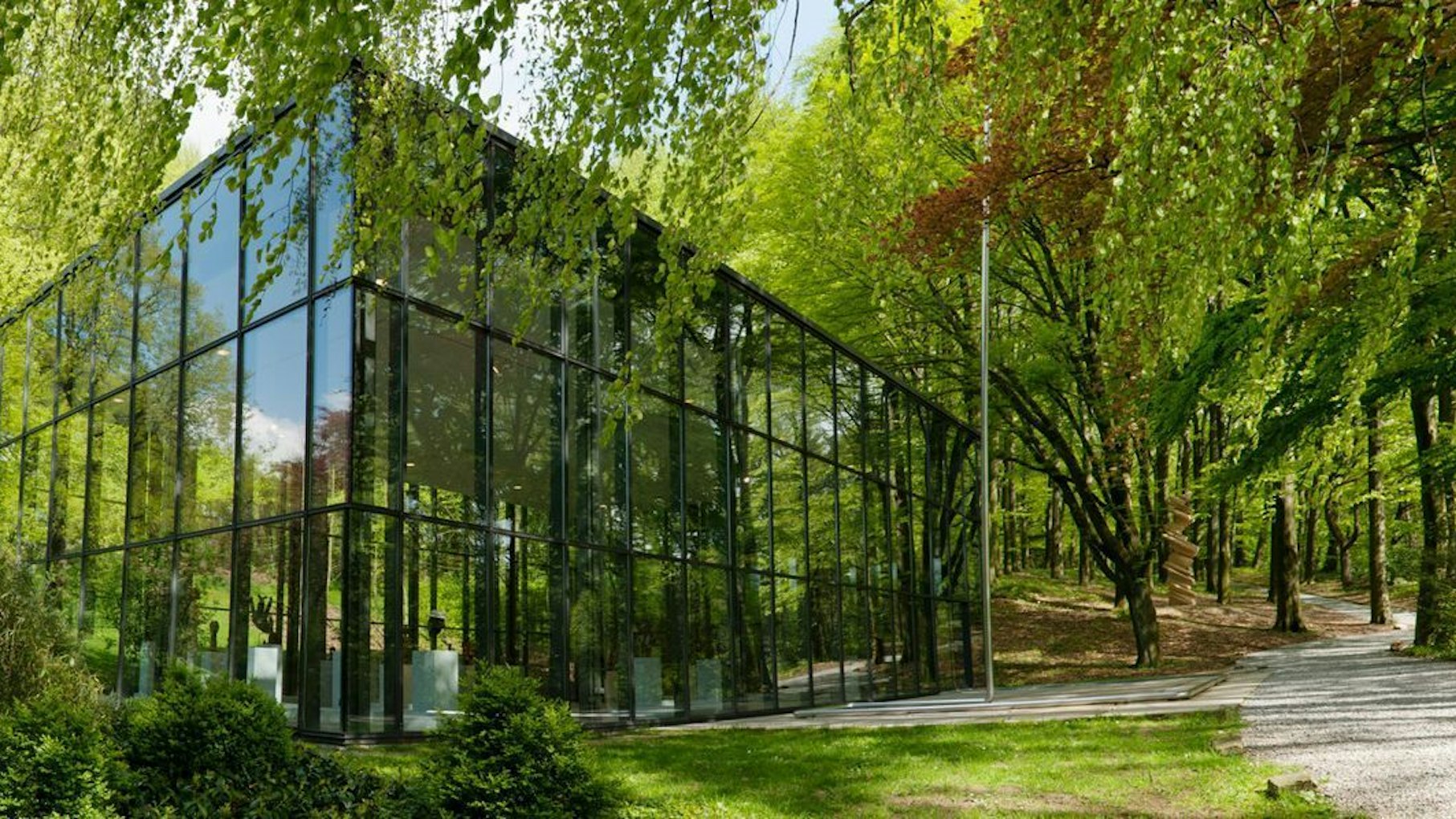 Glaskubus zwischen Bäumen im Skulpturenpark Waldfrieden