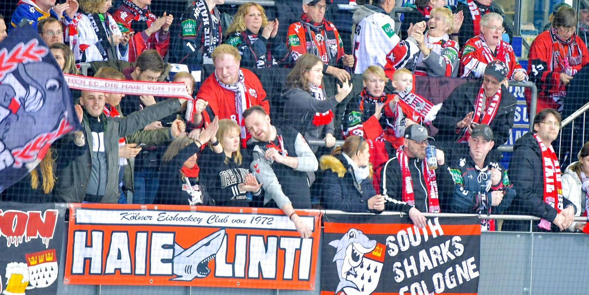 Fans der Kölner HAie