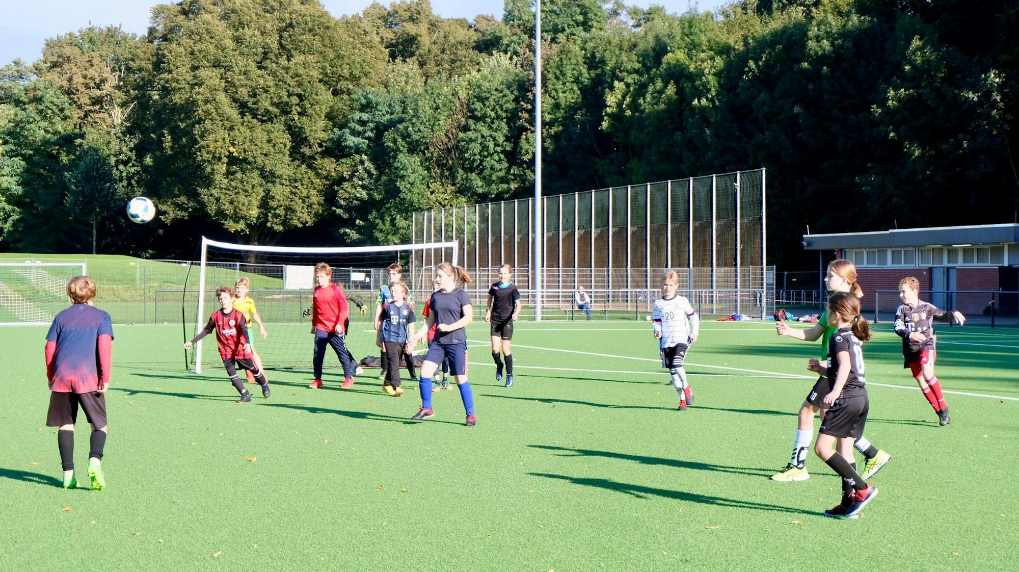 vorwärts Spoho2 (1)