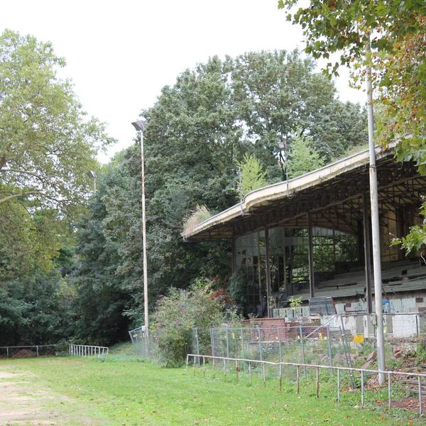 tribüne