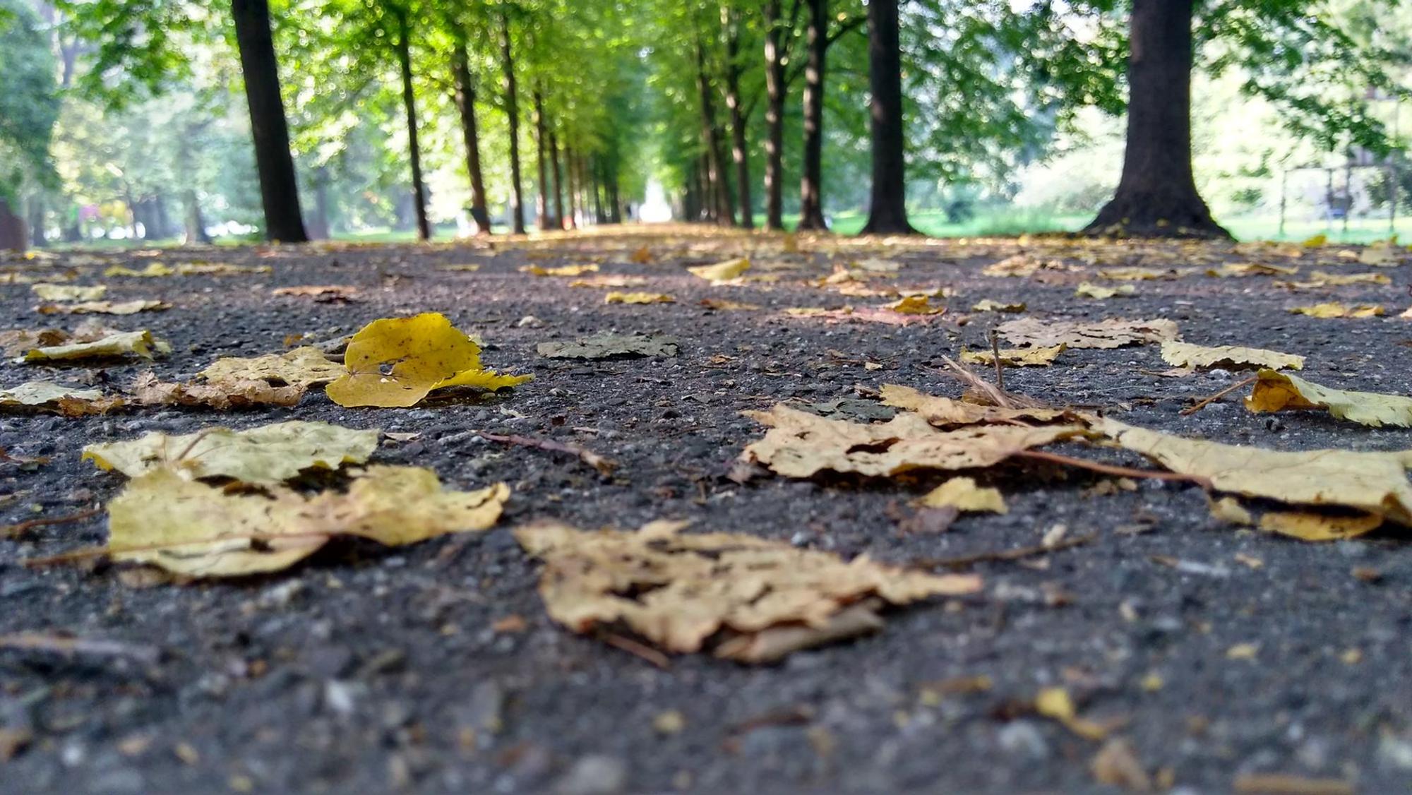 Schlosspark Stammheim Herbst 2 Reiche