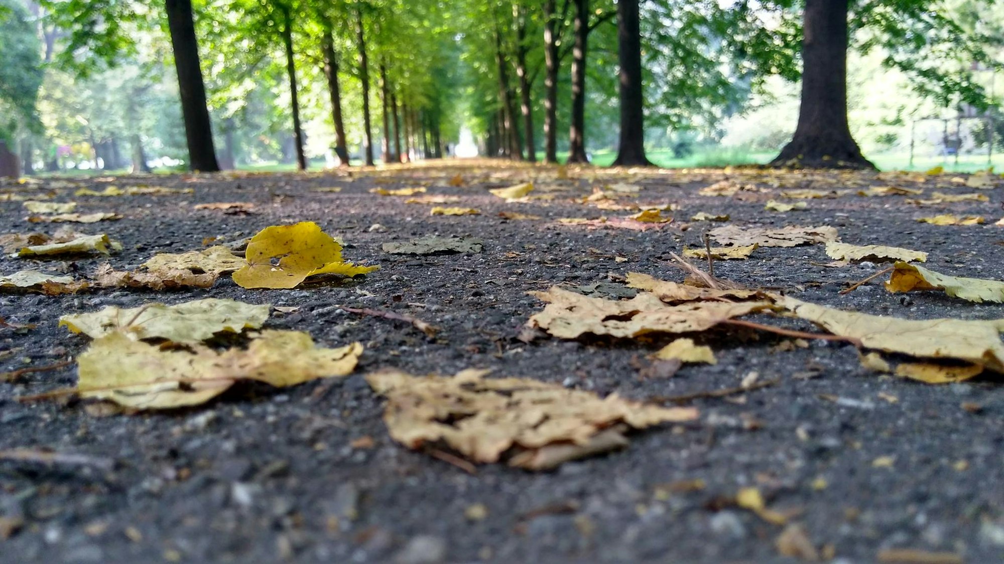 Schlosspark Stammheim Herbst 2 Reiche
