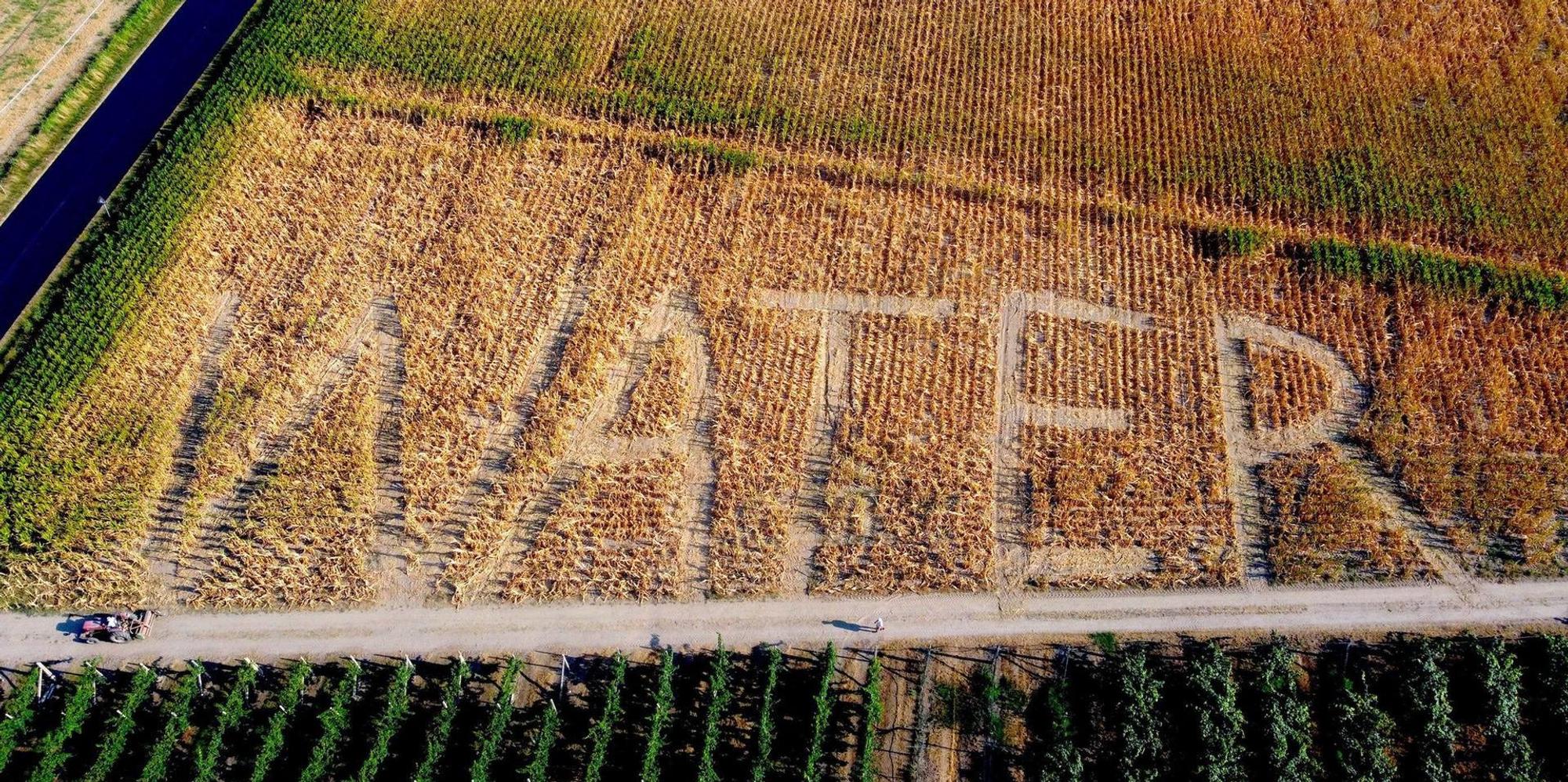 Water Kunst
