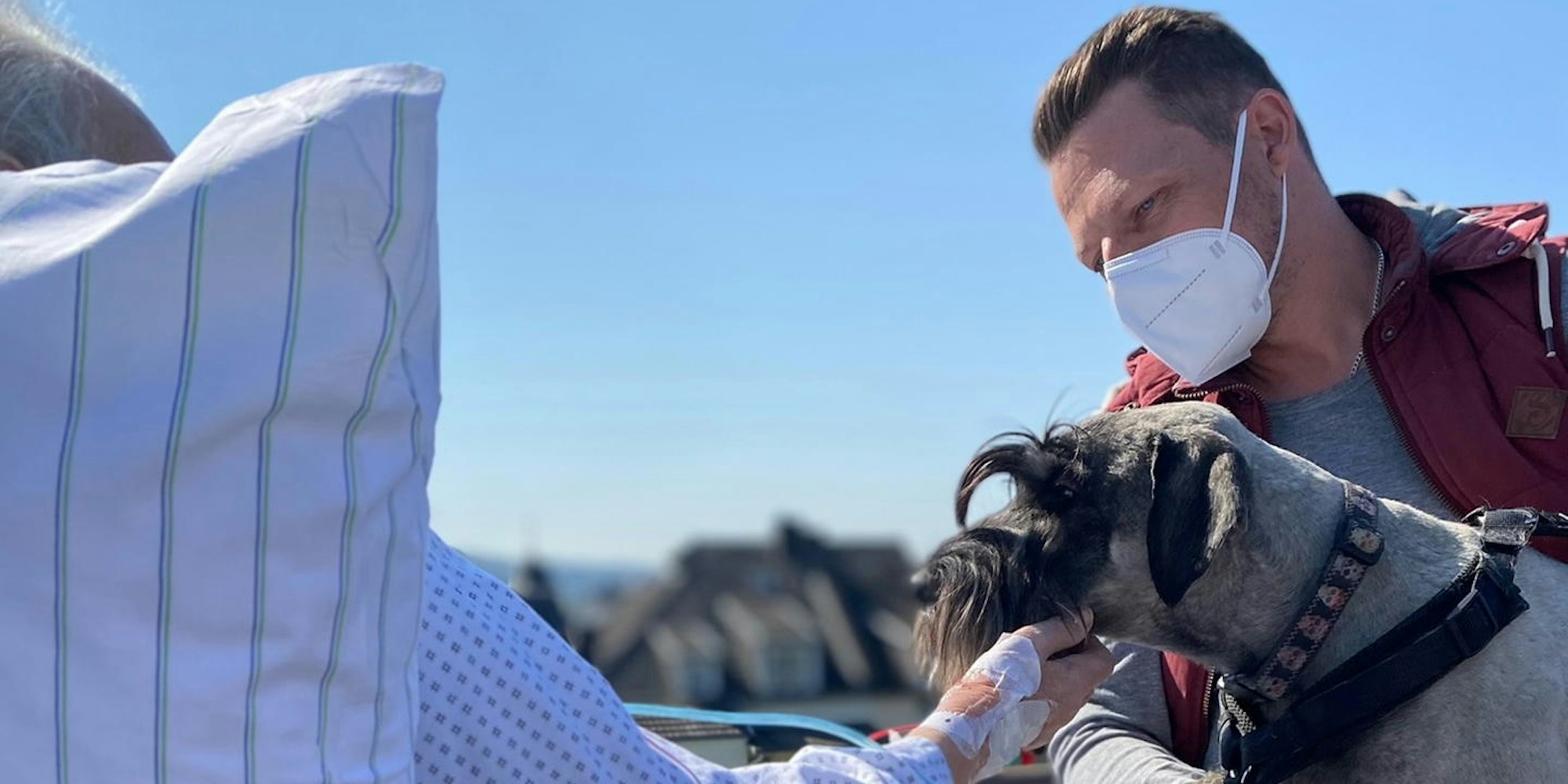 Cura_-_Patient_trifft_Hund