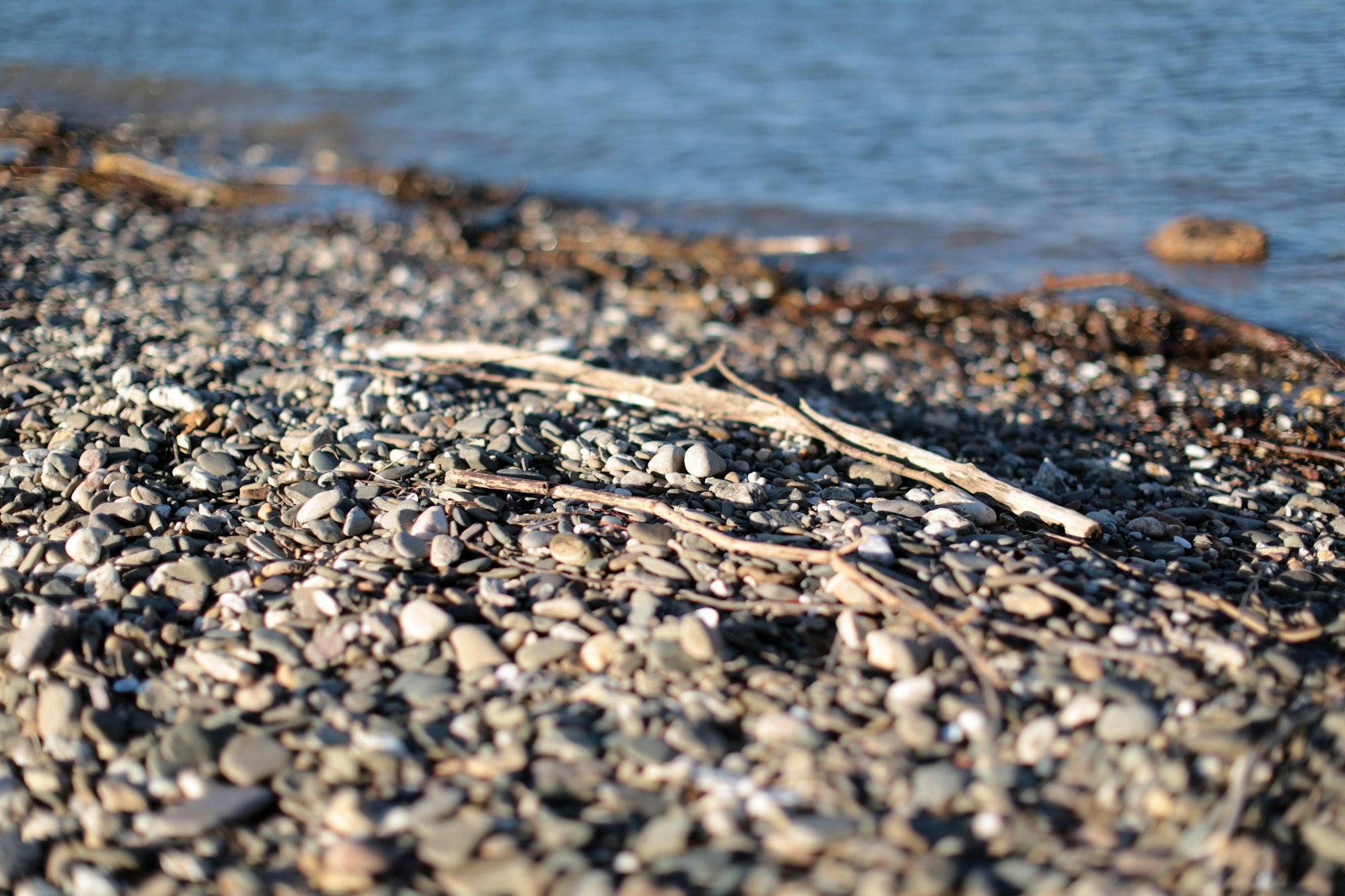 Rhein-Schau_Geologe_2