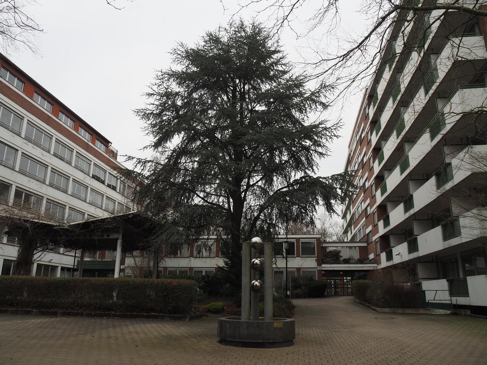 sues Michaelhoven 1
