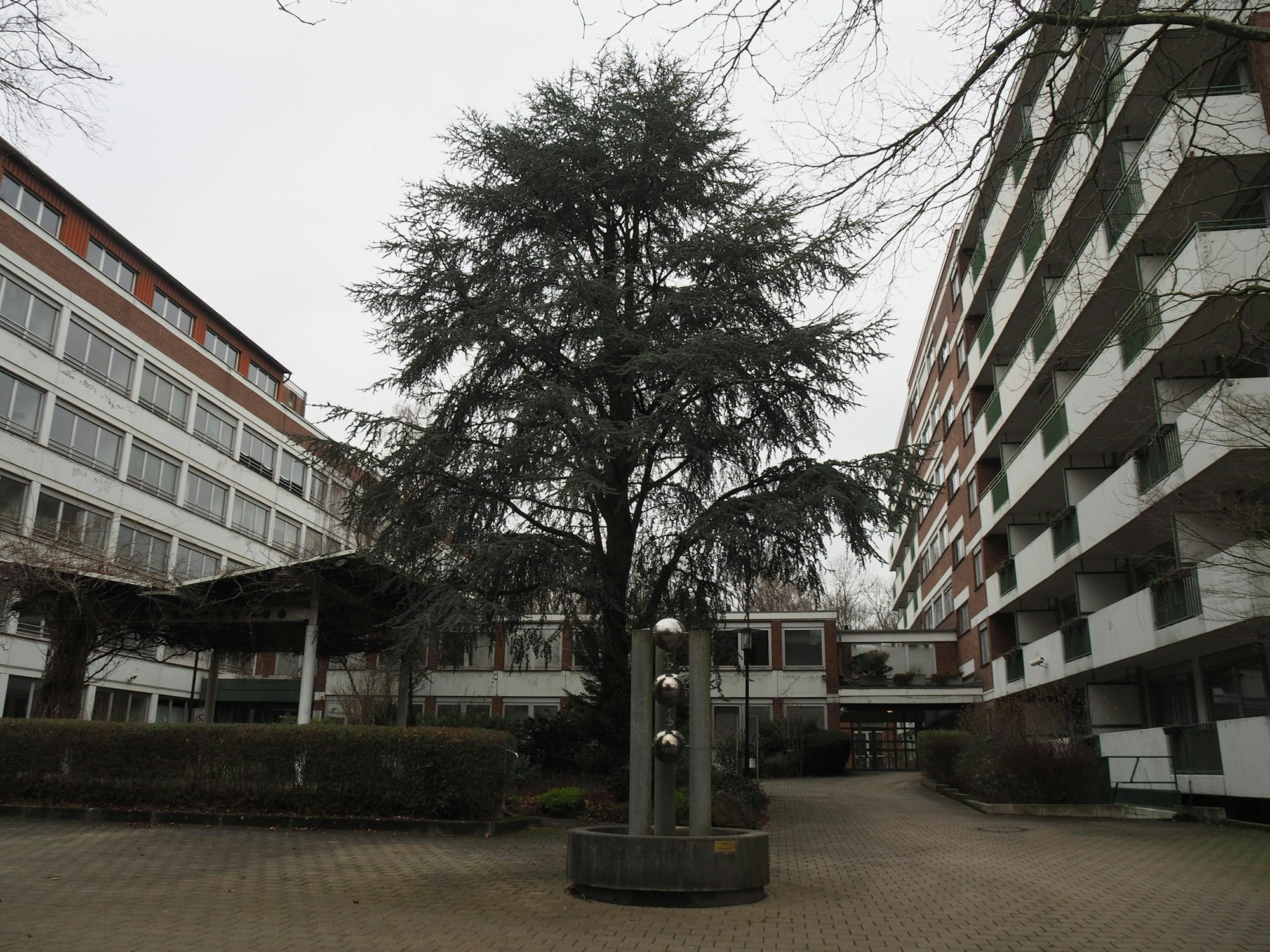 sues Michaelhoven 1
