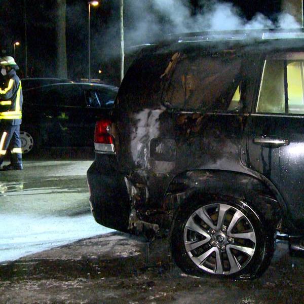 Auto ukrainisches Kennzeichen