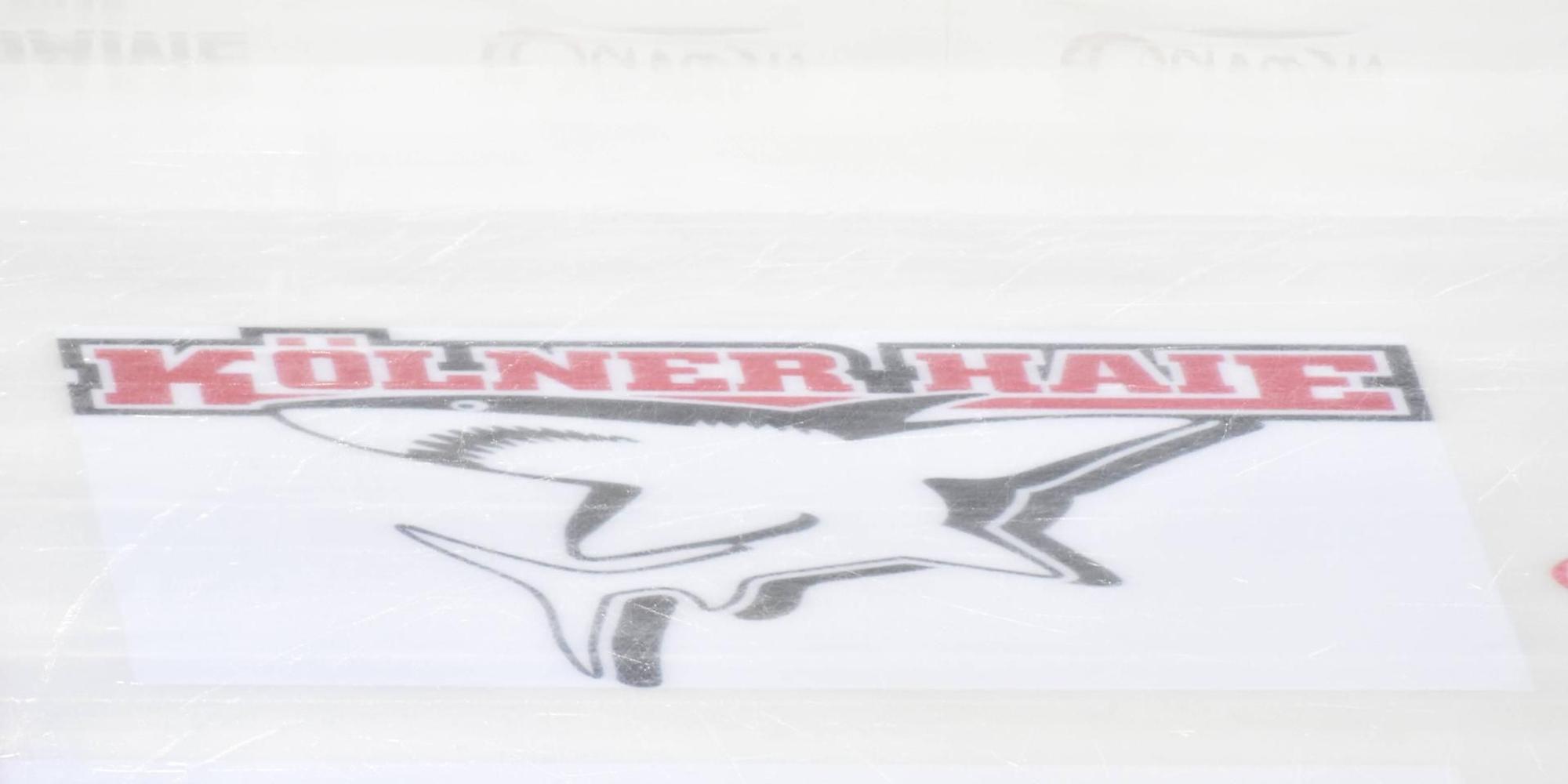Kölner Haie (2)