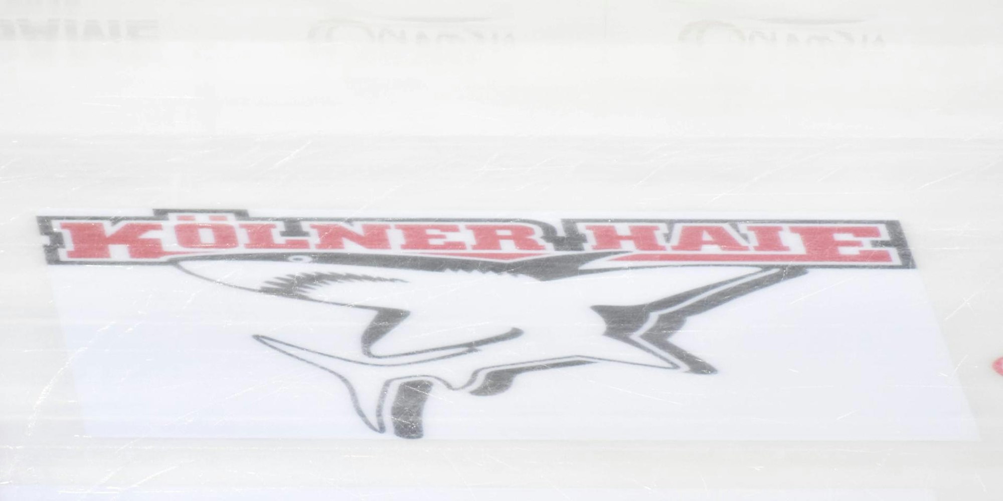 Kölner Haie (2)