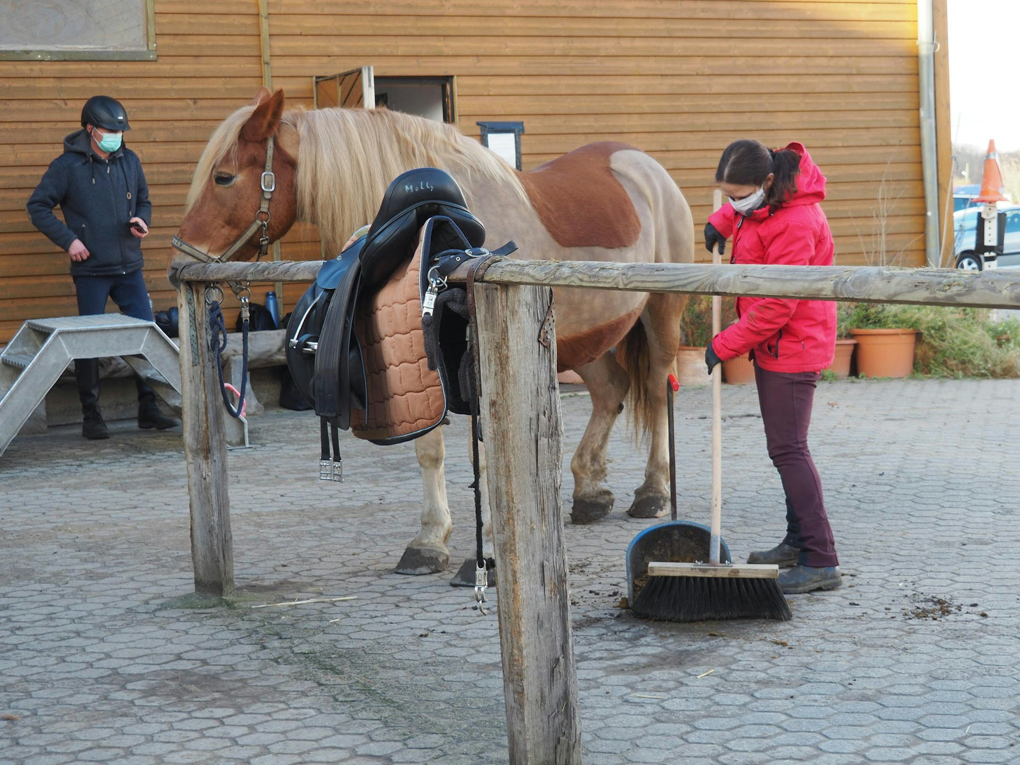 sues Reiten 4 Pferdeäpfel von Molly