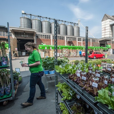 leverkusen-GARTENBEDARF-GEMUESE-_ALF_0755
