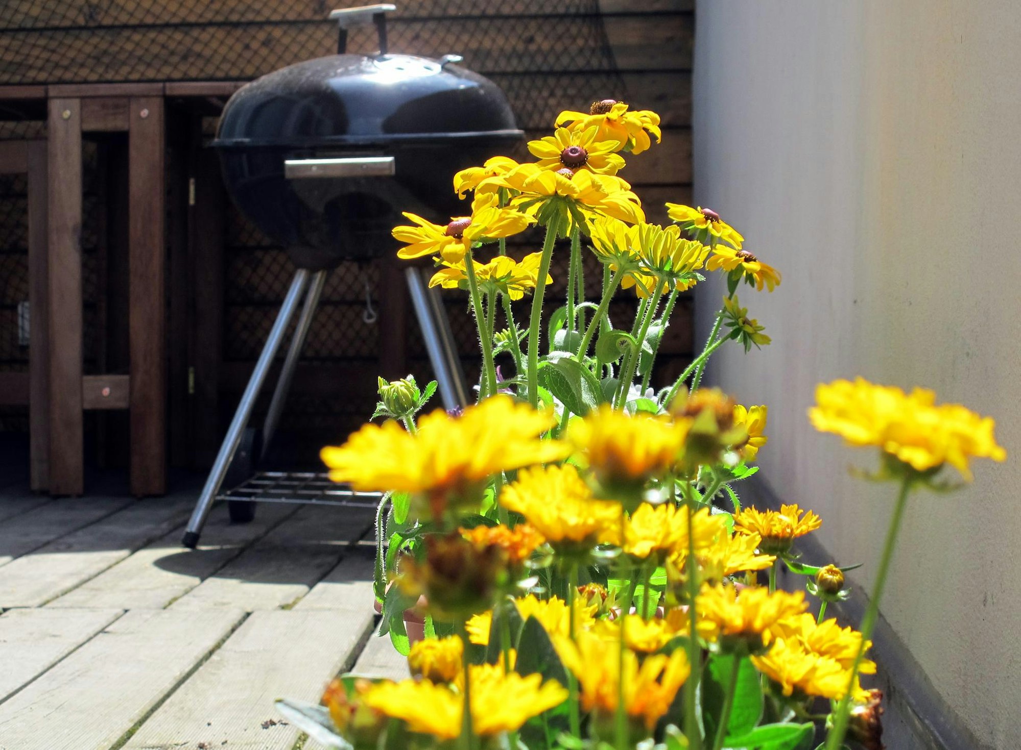 Balkon blumen und grill