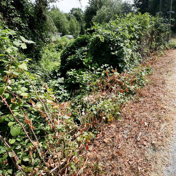 Mülheim Vergewaltigung dpa neu