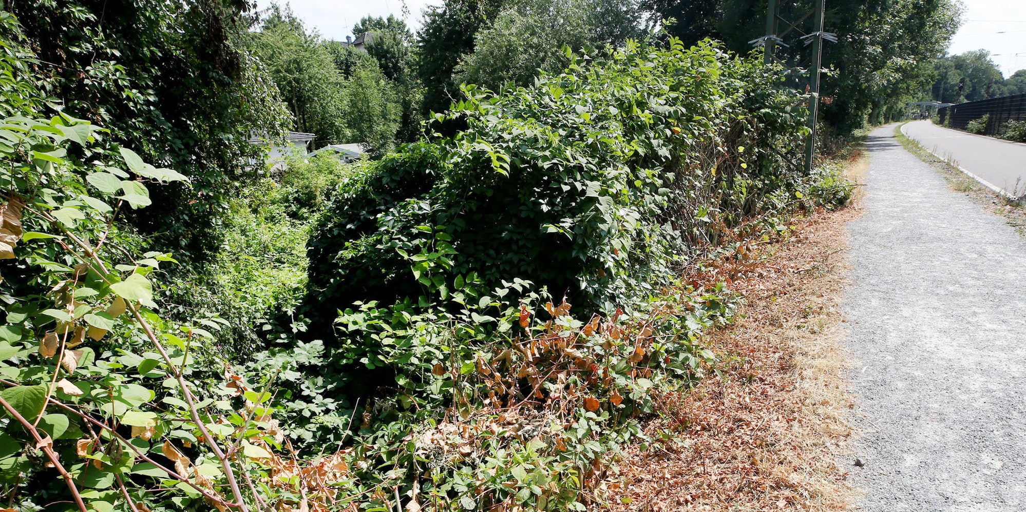 Mülheim Vergewaltigung dpa neu
