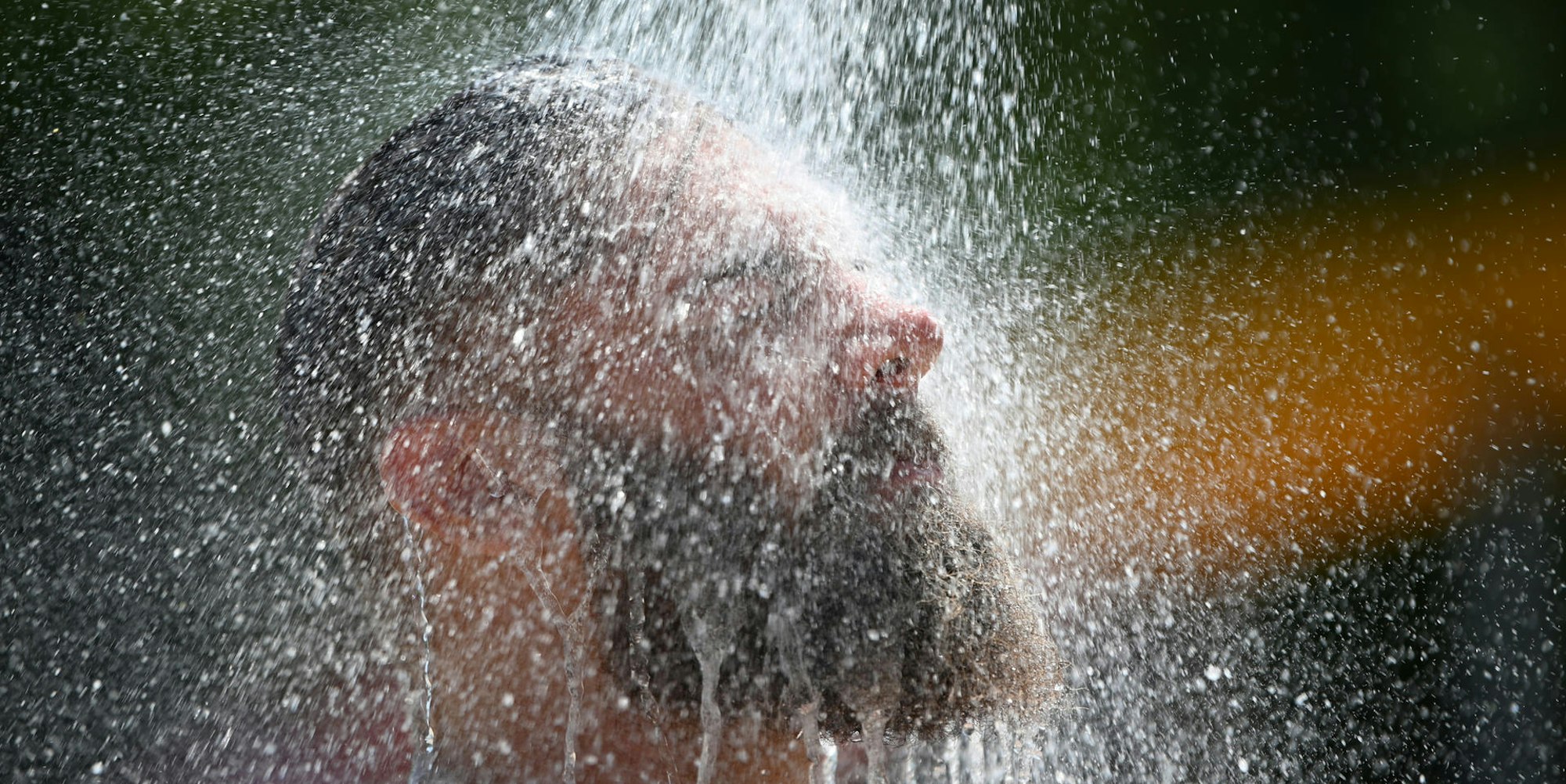 Neues_aus_der_Szene_71438225