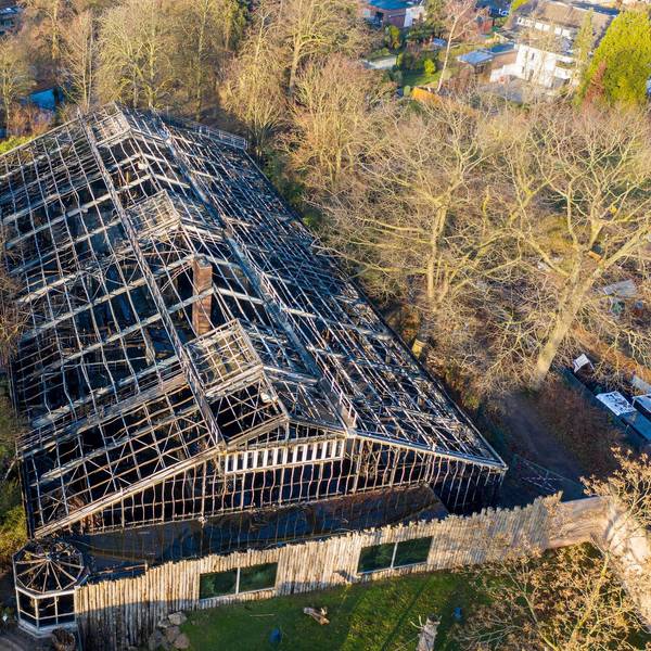 Krefeld Zoo neu dpa