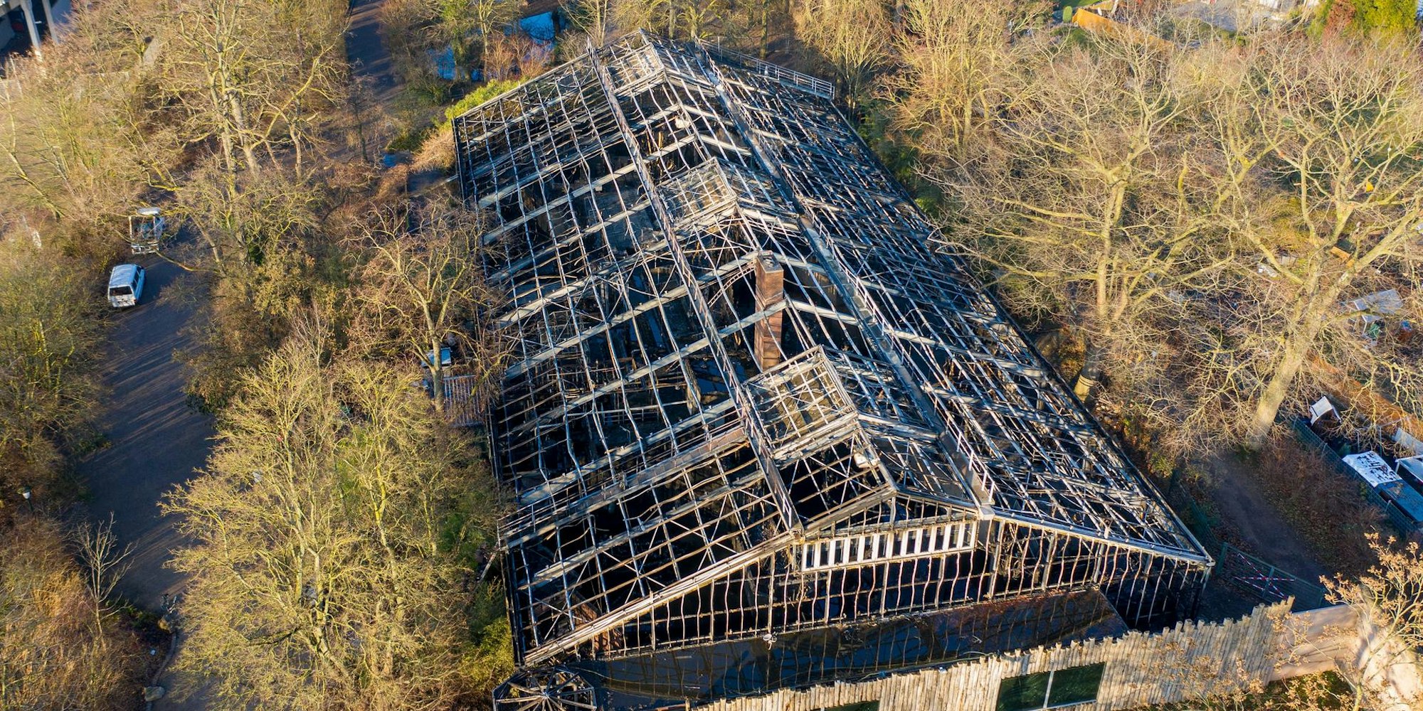 Krefeld Zoo neu dpa