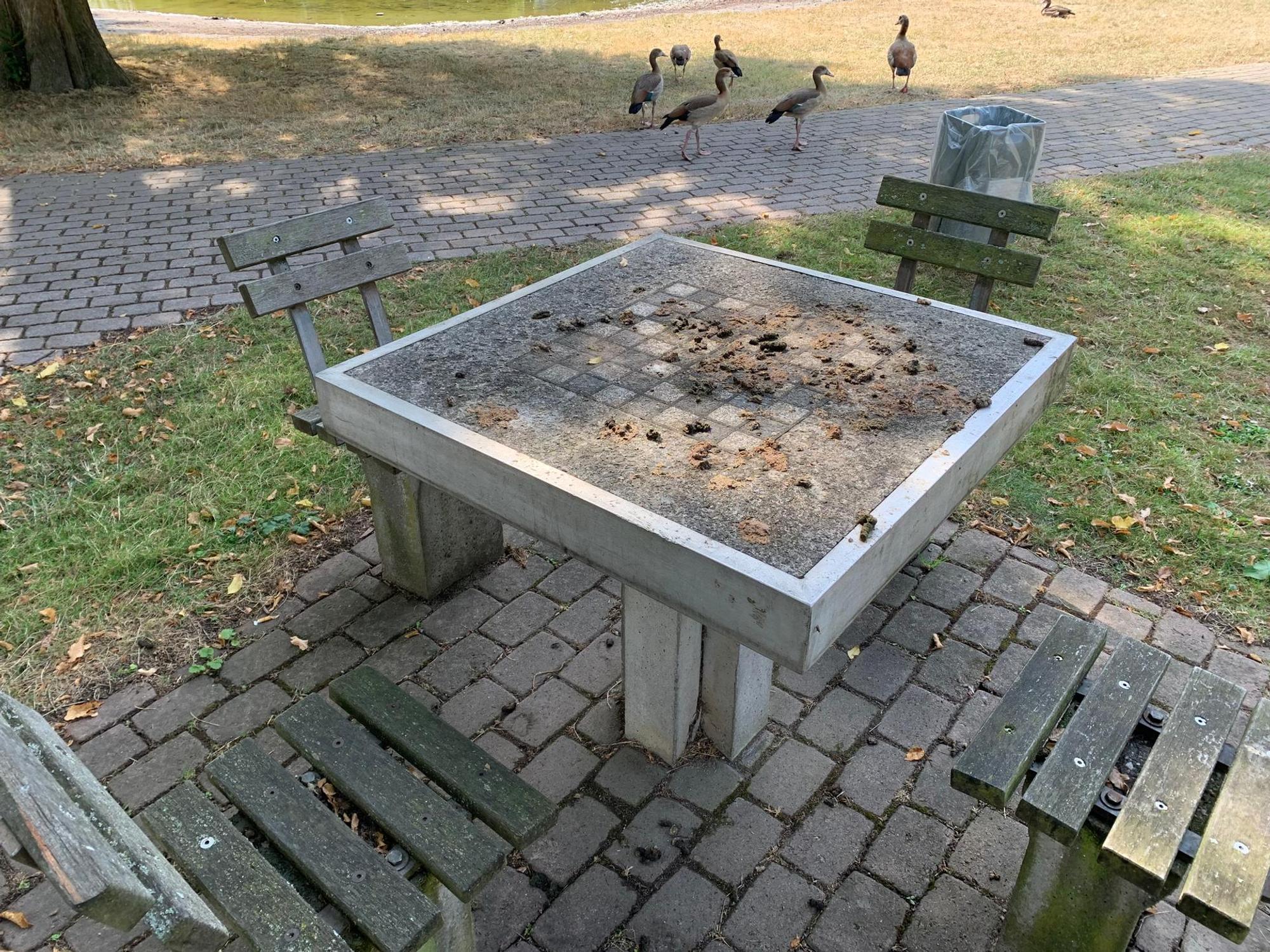 Neuer Inhalt (2)