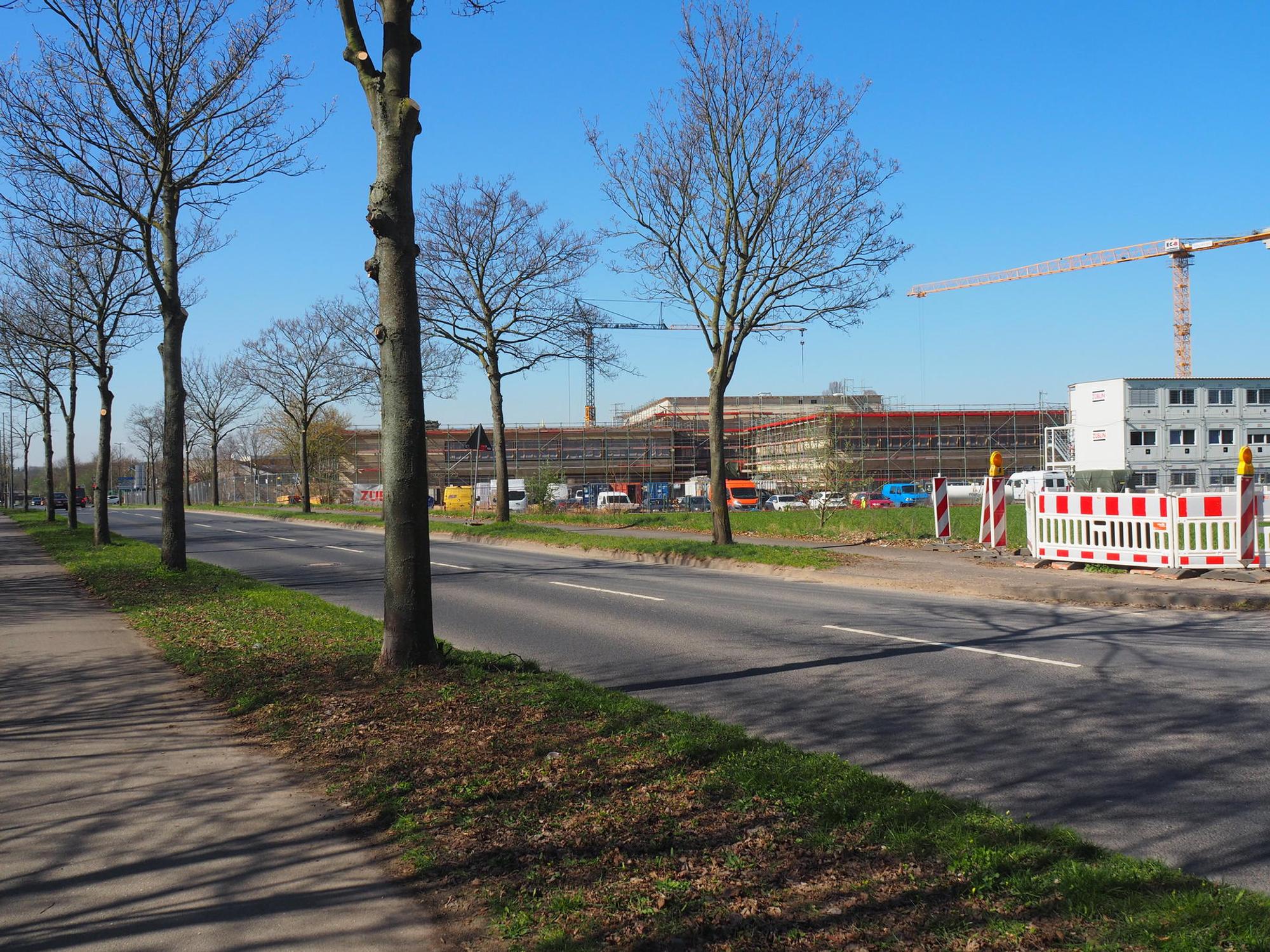 sues Sürther Feld Am Feldrain