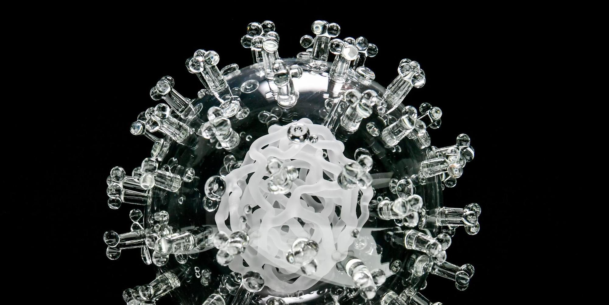 Coronavirus