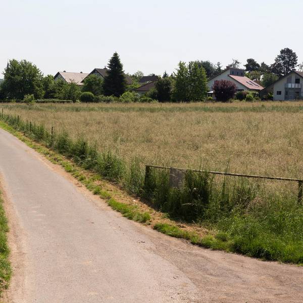 Buschkauler Feld