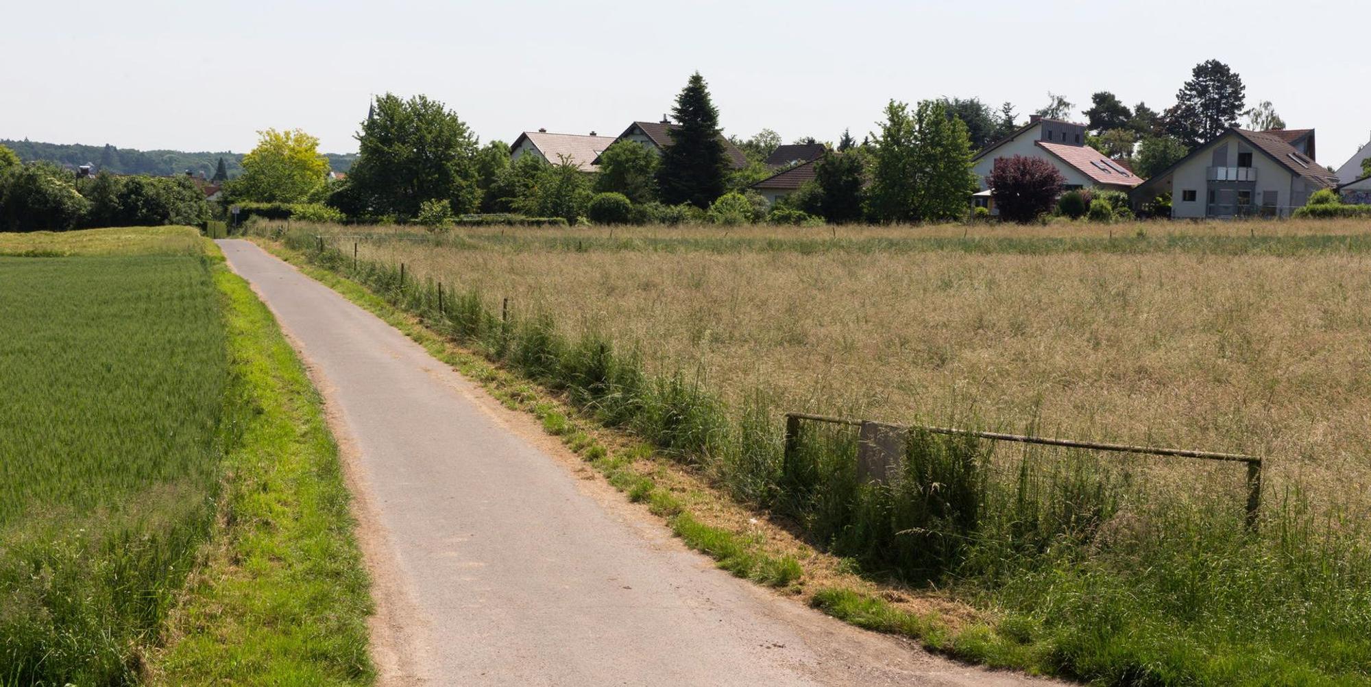 Buschkauler Feld