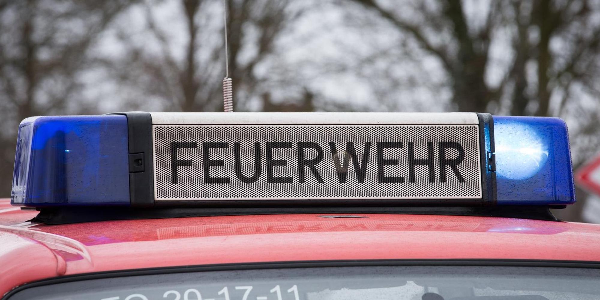 Neuer Inhalt
