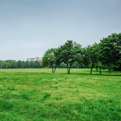 20190520_Dreikoenigsgymnasium_HGM_05